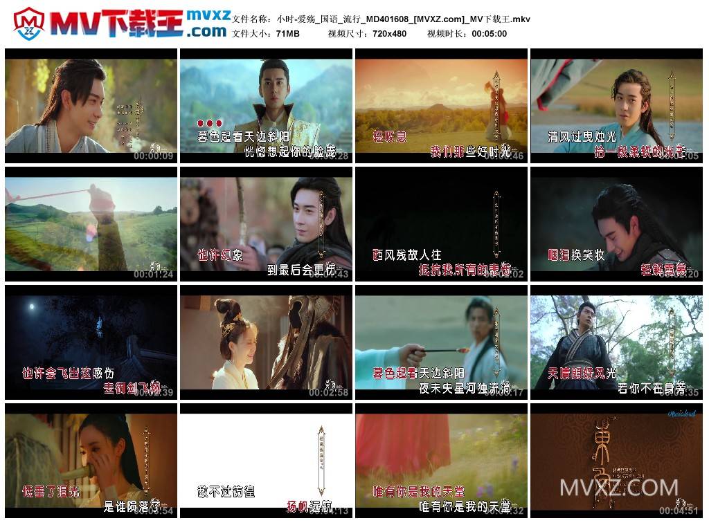 小时-爱殇_国语_流行_MD401608